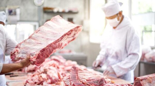 EN CUATRO MESES, PARAGUAY EXPORTÓ 96.000 TONELADAS DE CARNE