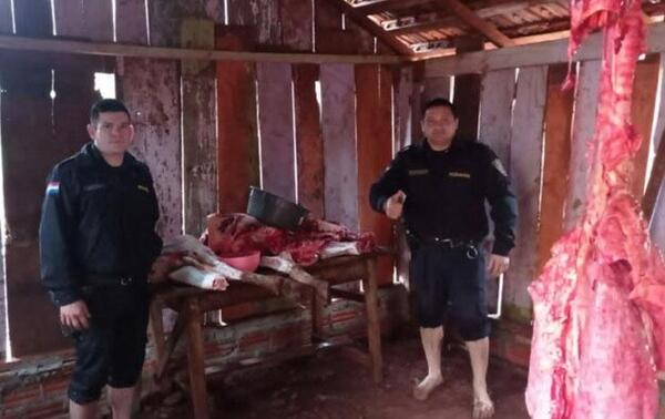 Capturan a dos abigeos en el momento en que estaban faenando un animal en Itapúa – Prensa 5