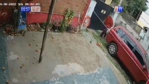 Hasta los sillones se roban en Lambaré - PARAGUAYPE.COM