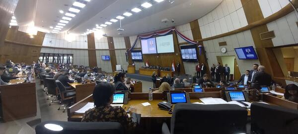 Diario HOY | Proponen que sesiones de comisiones del Diputados también puedan ser virtual