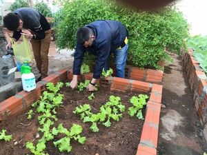 Interno de Tacumbú cultiva los alimentos para el penal