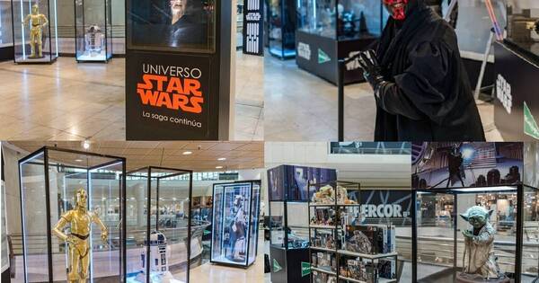 La Nación / Día Mundial de Star Wars: coleccionista abre sus puertas a una exposición de artículos
