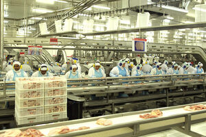 La brasileña BRF pierde 315,5 millones de dólares en el primer trimestre - MarketData