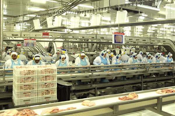 La brasileña BRF pierde 315,5 millones de dólares en el primer trimestre - MarketData