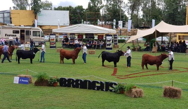 Nacional Brangus de Otoño abre sus portones para disfrutar de un desfile de genética