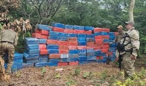 Incautan más de 34 mil kilos de marihuana en Piky