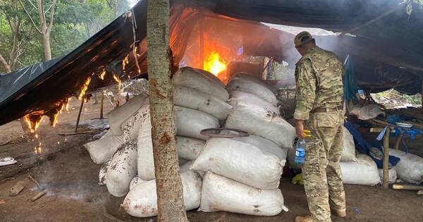 La Nación / Senad incautó 38 toneladas de marihuana y es cifra récord en Paraguay