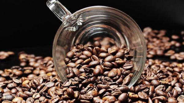Diario HOY | Policía decomisa 500 kilos de cocaína proveniente de Brasil en planta de Nespresso