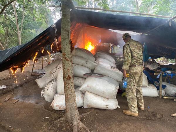 Senad incauta récord de 38 toneladas de marihuana en Amambay - .::Agencia IP::.