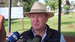 Pereira destaca aprobación de llamado a licitación del transporte público