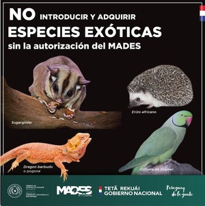 Diario HOY | Instan a no introducir ni adquirir especies exóticas