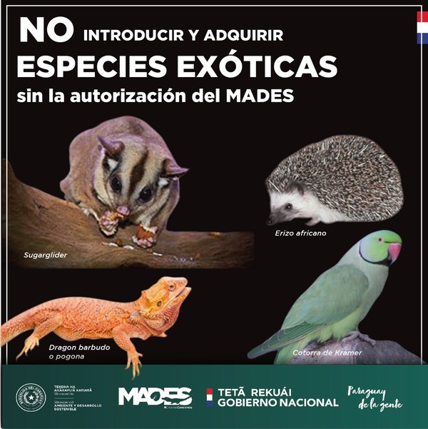 Diario HOY | Instan a no introducir ni adquirir especies exóticas