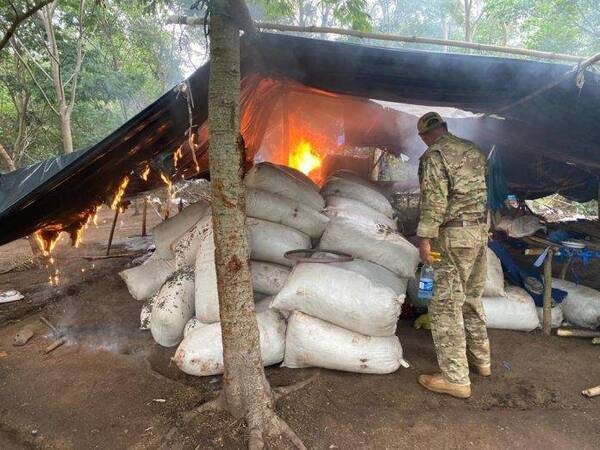 Crónica / Senad incautó 38 toneladas de marihuana en Amambay