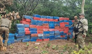 ¡Récord! Incautan y destruyen 38 toneladas de marihuana en Amambay - Megacadena — Últimas Noticias de Paraguay