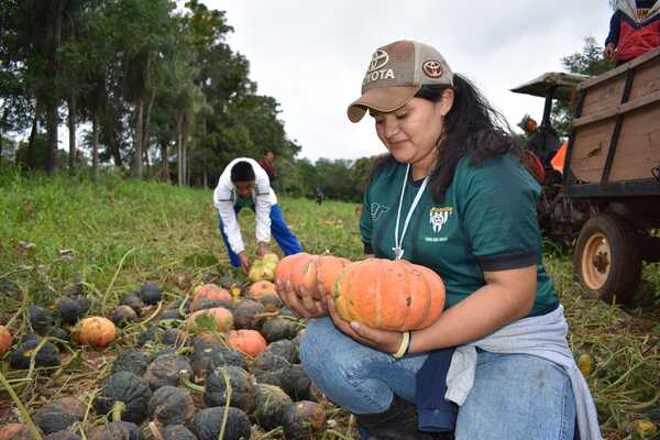 Exitosa producción de zapallo en CEASIL