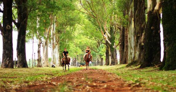 La Nación / ONU: Paraguay plantea desarrollar un turismo enfocado en el cuidado de la naturaleza