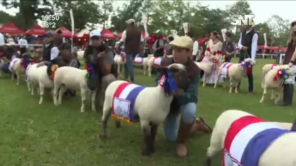 San Miguel, Misiones: Artesanos preparan el festival del "Ovecha Rague" - SNT