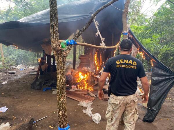 Incautan récord de 38 toneladas de marihuana en Amambay - ADN Digital