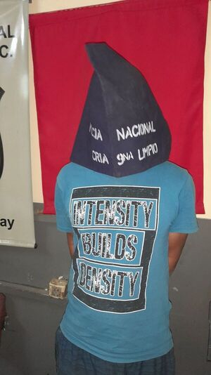 Roba una moto y la esconde en su pieza - Nacionales - ABC Color