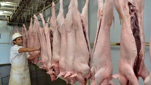 La exportación de carne porcina se desplomó en más del 80% 