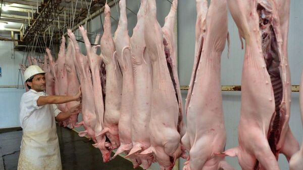La exportación de carne porcina se desplomó en más del 80%