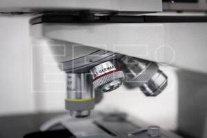 Diario HOY | Científicos idean un método para controlar poblaciones bacterianas