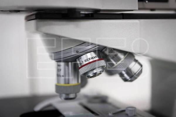 Diario HOY | Científicos idean un método para controlar poblaciones bacterianas