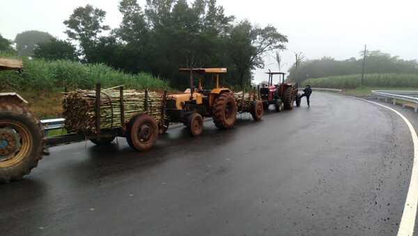 Productores exigen reajuste en el precio de la caña dulce | 1000 Noticias