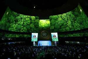 El dragón verde odia a la humanidad