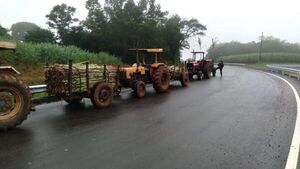 Productores exigen reajuste en el precio de la caña dulce