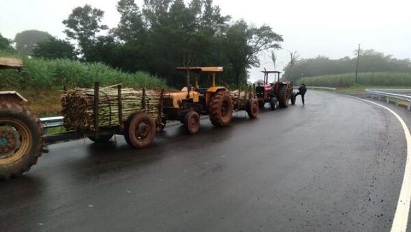 Productores exigen reajuste en el precio de la caña dulce