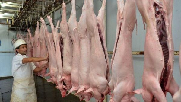 La exportación de carne porcina se desplomó en más del 80%