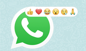 WhatsApp tiene nueva actualización: Reacciones con emojis y archivos compartidos de hasta 2 GB - OviedoPress