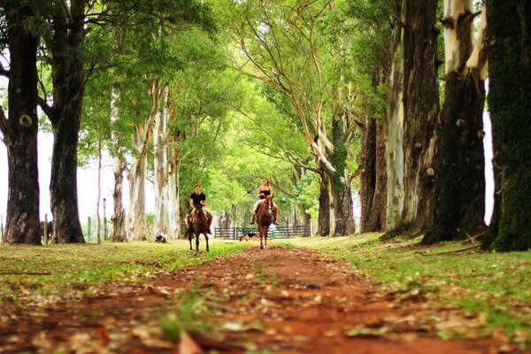 PARAGUAY PLANTEA DESARROLLAR UN TURISMO ENFOCADO EN EL CUIDADO DE LA NATURALEZA Y LA PRESERVACIÓN CULTURAL