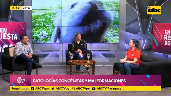 Patologías congénitas y malformaciones en nuestras mascotas - Ensiestados - ABC Color