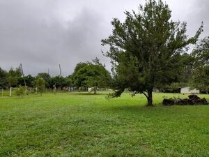 Piden no bajar los brazos en lucha contra el dengue en Ayolas - Nacionales - ABC Color