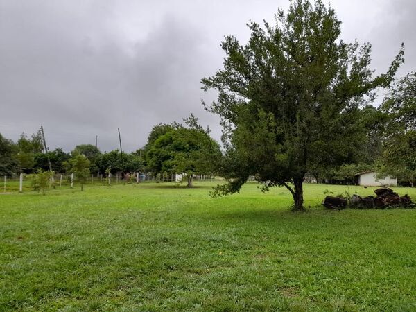 Piden no bajar los brazos en lucha contra el dengue en Ayolas - Nacionales - ABC Color