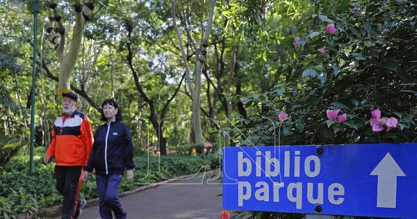 La Nación / Ejercicios y naturaleza, la fórmula del bienestar