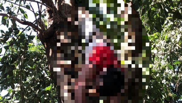 Podaba árbol y murió electrocutado