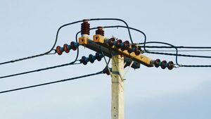 Hombre muere electrocutado mientras podaba un árbol