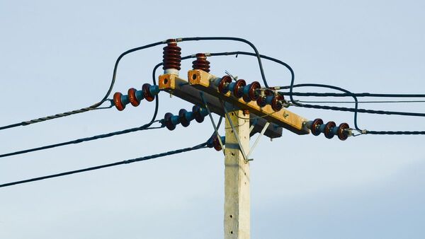 Hombre muere electrocutado mientras podaba un árbol