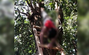 Subió a podar árbol y murió electrocutado en Minga Guazú
