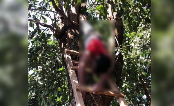 Subió a podar árbol y murió electrocutado en Minga Guazú