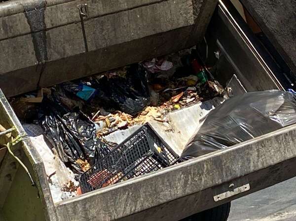 Diario HOY | Hallan restos óseos en una bolsa de basura en Luque
