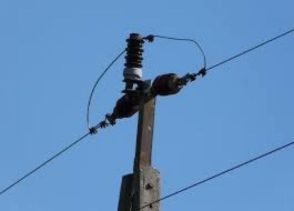 Hombre muere electrocutado mientras podaba un árbol