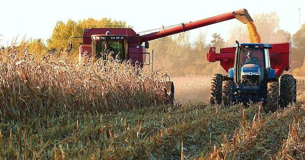 La Nación / Se avisa un “respiro” para agricultores con zafriñas de soja y maíz