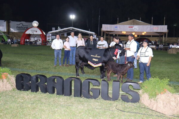 Gran Campeona Brangus para Agroganadera Ita Ka´avo