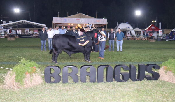 Agroganadera Pukavy se coronó con el Gran Campeón Brangus