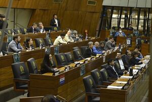 Hay 29 diputados que deberían ser multados por raboneros - Nacionales - ABC Color