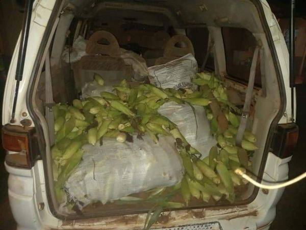 Crónica / Irán presos por robar avatiky para el chipa guazu